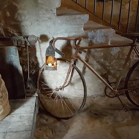 Carmen De Arnas Vendégház Colungo