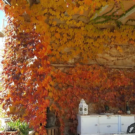 Carmen De Arnas Colungo