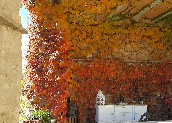 Carmen De Arnas Colungo